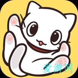猫咪饲养日常 猫咪饲养日常