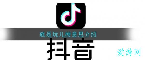 就是玩儿是什么梗 就是玩儿是什么梗